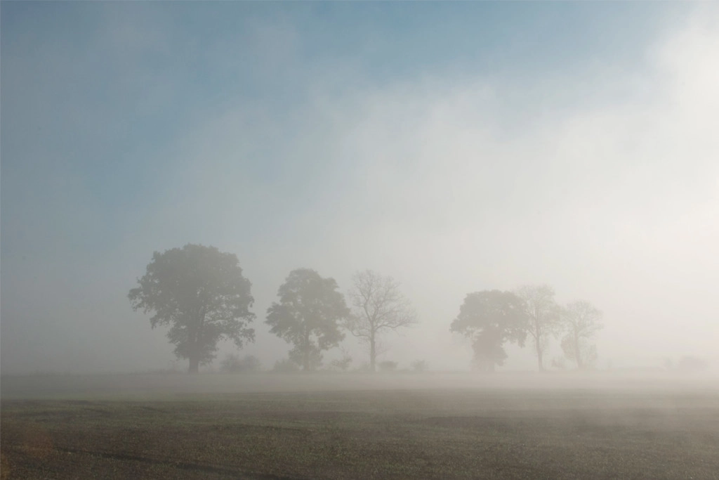 Holzhaus bauen mit Niederleitner