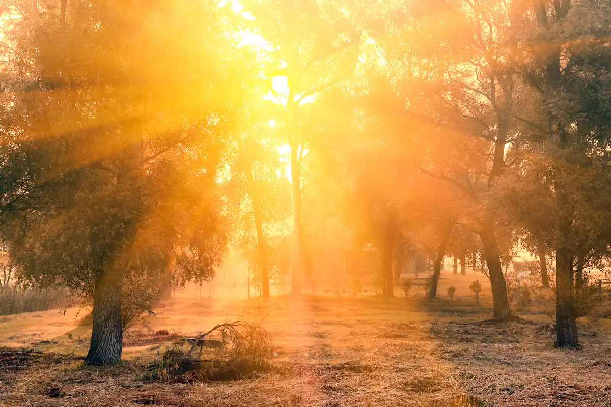 Esist. Das Holzhaus von Niederleitner